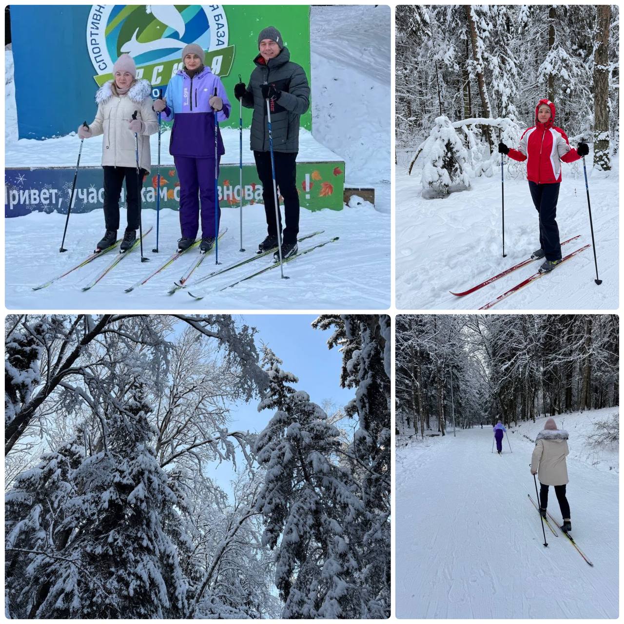 На лыжню!